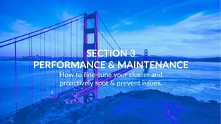 www.intermix.io
Inventor of Redshift technology
Co-founder & Chief Architect @ ParAccel
Likes to invent databases & play pool
Co-founder intermix.io
AWS Customer Advisor Board
Runs massive multi-cluster environments
Paul Dave
WHY US?
SECTION 3
PERFORMANCE & MAINTENANCE
How to fine-tune your cluster and
proactively spot & prevent issues.
 
