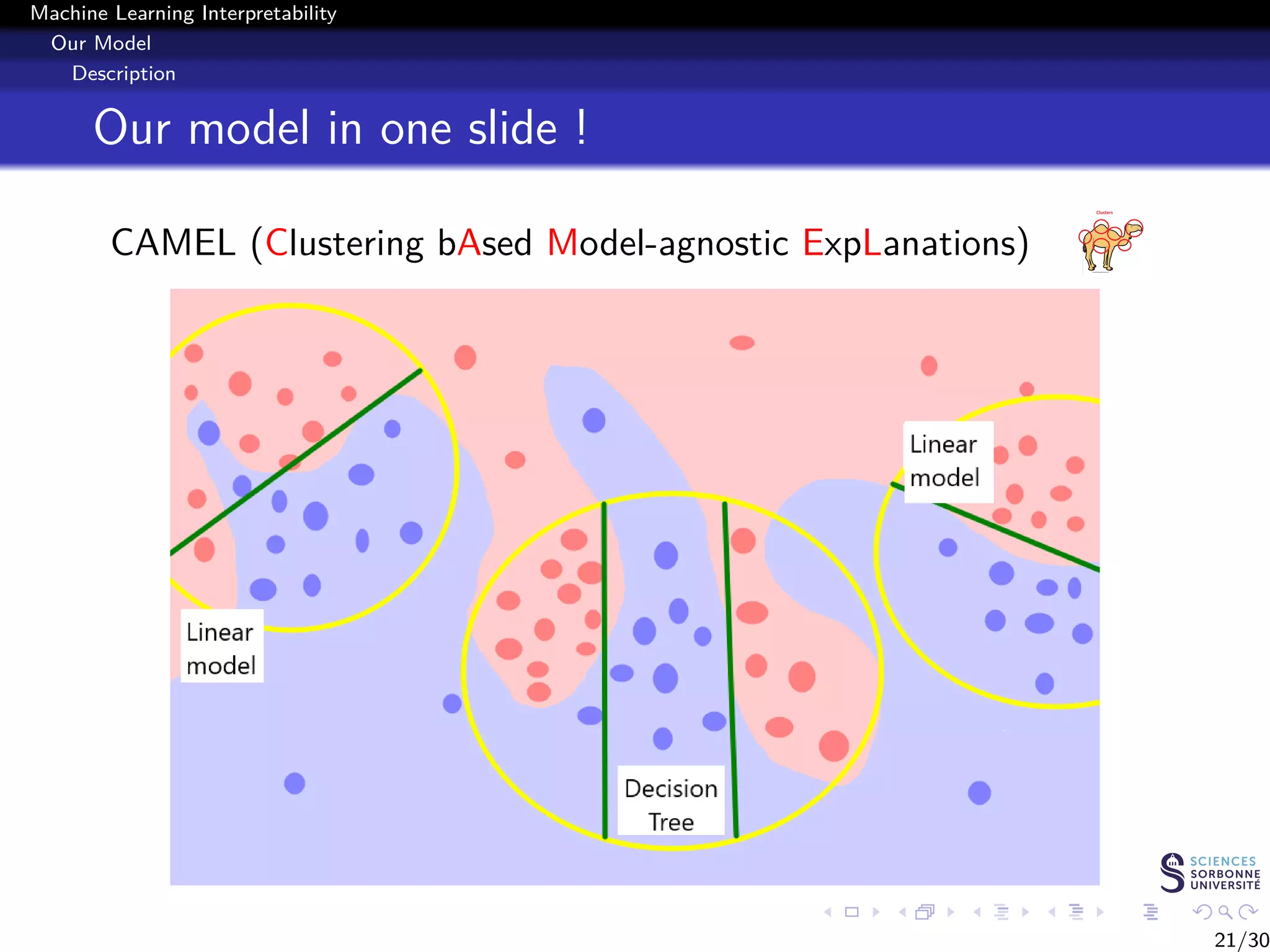 Machine Learning Interpretability / Explainability