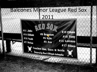 Balcones Minor League Red Sox 2011  
