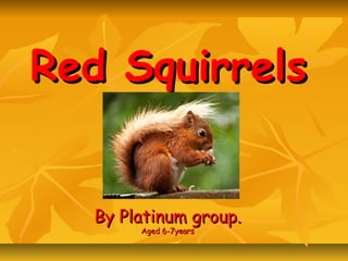 Red SquirrelsRed Squirrels
By Platinum group.By Platinum group.
Aged 6-7yearsAged 6-7years
 