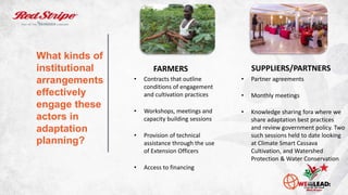 Have you
engaged in
your country’s
NAP process?
If so, how?
 