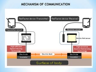 MECHANISM OF COMMUNICATION
 
