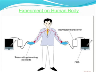 Experiment on Human Body
 