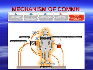 MECHANISM OF COMMN . 