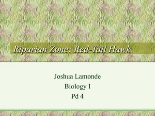 Riparian Zone: Red-Tail Hawk Joshua Lamonde Biology I Pd 4 