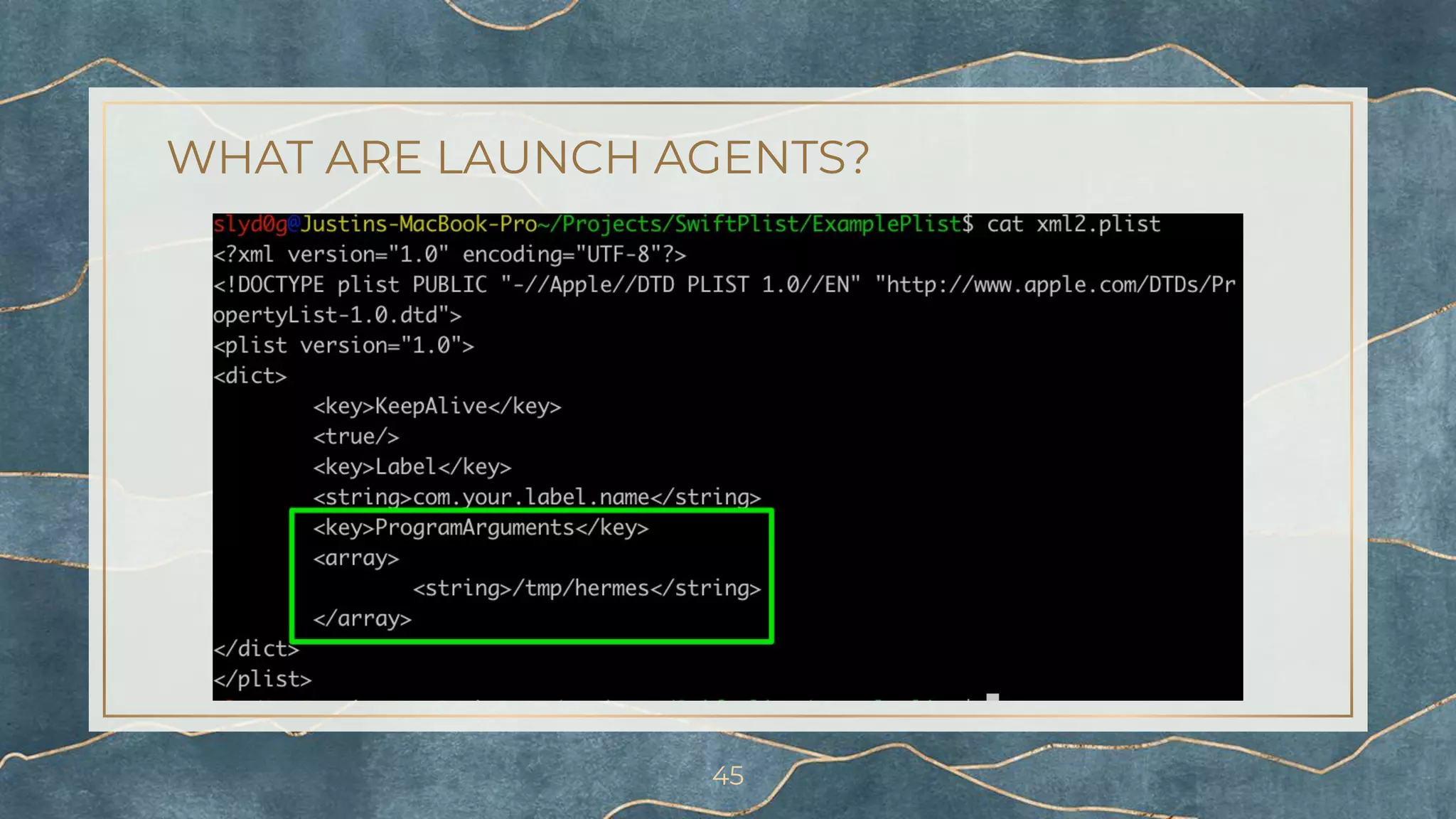 WHAT ARE LAUNCH AGENTS?
45
 