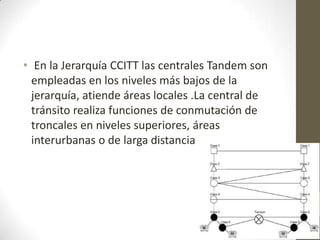 • En la Jerarquía CCITT las centrales Tandem son
empleadas en los niveles más bajos de la
jerarquía, atiende áreas locales .La central de
tránsito realiza funciones de conmutación de
troncales en niveles superiores, áreas
interurbanas o de larga distancia
 