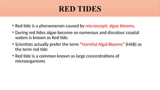 Comprehensive Overview of Red Tides, Fish Kills, and Harmful Algal ...