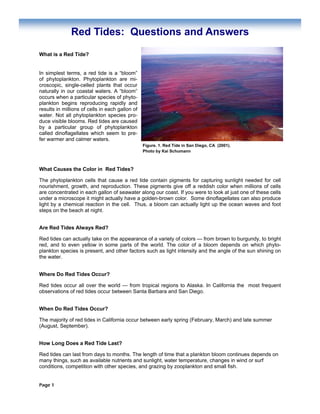 Page 1
Red Tides: Questions and Answers
What is a Red Tide?
What Causes the Color in Red Tides?
The phytoplankton cells that cause a red tide contain pigments for capturing sunlight needed for cell
nourishment, growth, and reproduction. These pigments give off a reddish color when millions of cells
are concentrated in each gallon of seawater along our coast. If you were to look at just one of these cells
under a microscope it might actually have a golden-brown color. Some dinoflagellates can also produce
light by a chemical reaction in the cell. Thus, a bloom can actually light up the ocean waves and foot
steps on the beach at night.
Are Red Tides Always Red?
Red tides can actually take on the appearance of a variety of colors — from brown to burgundy, to bright
red, and to even yellow in some parts of the world. The color of a bloom depends on which phyto-
plankton species is present, and other factors such as light intensity and the angle of the sun shining on
the water.
Where Do Red Tides Occur?
Red tides occur all over the world — from tropical regions to Alaska. In California the most frequent
observations of red tides occur between Santa Barbara and San Diego.
When Do Red Tides Occur?
The majority of red tides in California occur between early spring (February, March) and late summer
(August, September).
How Long Does a Red Tide Last?
Red tides can last from days to months. The length of time that a plankton bloom continues depends on
many things, such as available nutrients and sunlight, water temperature, changes in wind or surf
conditions, competition with other species, and grazing by zooplankton and small fish.
In simplest terms, a red tide is a “bloom”
of phytoplankton. Phytoplankton are mi-
croscopic, single-celled plants that occur
naturally in our coastal waters. A “bloom”
occurs when a particular species of phyto-
plankton begins reproducing rapidly and
results in millions of cells in each gallon of
water. Not all phytoplankton species pro-
duce visible blooms. Red tides are caused
by a particular group of phytoplankton
called dinoflagellates which seem to pre-
fer warmer and calmer waters.
Figure. 1. Red Tide in San Diego, CA (2001).
Photo by Kai Schumann
 