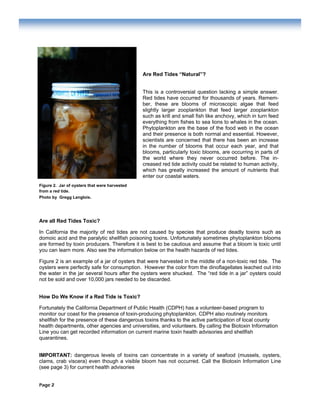 Page 2
Are Red Tides “Natural”?
Are all Red Tides Toxic?
In California the majority of red tides are not caused by species that produce deadly toxins such as
domoic acid and the paralytic shellfish poisoning toxins. Unfortunately sometimes phytoplankton blooms
are formed by toxin producers. Therefore it is best to be cautious and assume that a bloom is toxic until
you can learn more. Also see the information below on the health hazards of red tides.
Figure 2 is an example of a jar of oysters that were harvested in the middle of a non-toxic red tide. The
oysters were perfectly safe for consumption. However the color from the dinoflagellates leached out into
the water in the jar several hours after the oysters were shucked. The “red tide in a jar” oysters could
not be sold and over 10,000 jars needed to be discarded.
How Do We Know if a Red Tide is Toxic?
Fortunately the California Department of Public Health (CDPH) has a volunteer-based program to
monitor our coast for the presence of toxin-producing phytoplankton. CDPH also routinely monitors
shellfish for the presence of these dangerous toxins thanks to the active participation of local county
health departments, other agencies and universities, and volunteers. By calling the Biotoxin Information
Line you can get recorded information on current marine toxin health advisories and shellfish
quarantines.
IMPORTANT: dangerous levels of toxins can concentrate in a variety of seafood (mussels, oysters,
clams, crab viscera) even though a visible bloom has not occurred. Call the Biotoxin Information Line
(see page 3) for current health advisories
This is a controversial question lacking a simple answer.
Red tides have occurred for thousands of years. Remem-
ber, these are blooms of microscopic algae that feed
slightly larger zooplankton that feed larger zooplankton
such as krill and small fish like anchovy, which in turn feed
everything from fishes to sea lions to whales in the ocean.
Phytoplankton are the base of the food web in the ocean
and their presence is both normal and essential. However,
scientists are concerned that there has been an increase
in the number of blooms that occur each year, and that
blooms, particularly toxic blooms, are occurring in parts of
the world where they never occurred before. The in-
creased red tide activity could be related to human activity,
which has greatly increased the amount of nutrients that
enter our coastal waters.
Figure 2. Jar of oysters that were harvested
from a red tide.
Photo by Gregg Langlois.
 