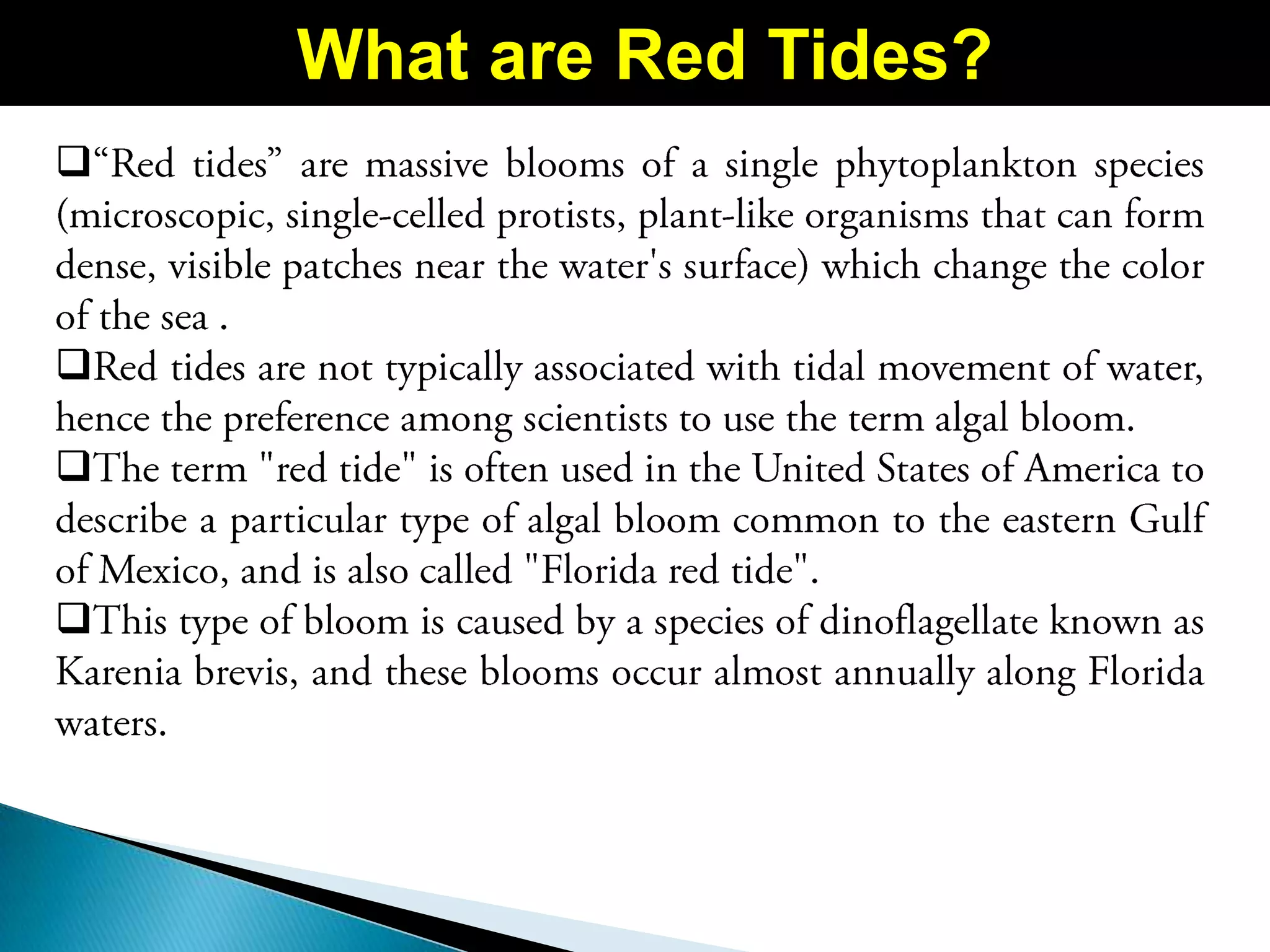 
What are Red Tides?