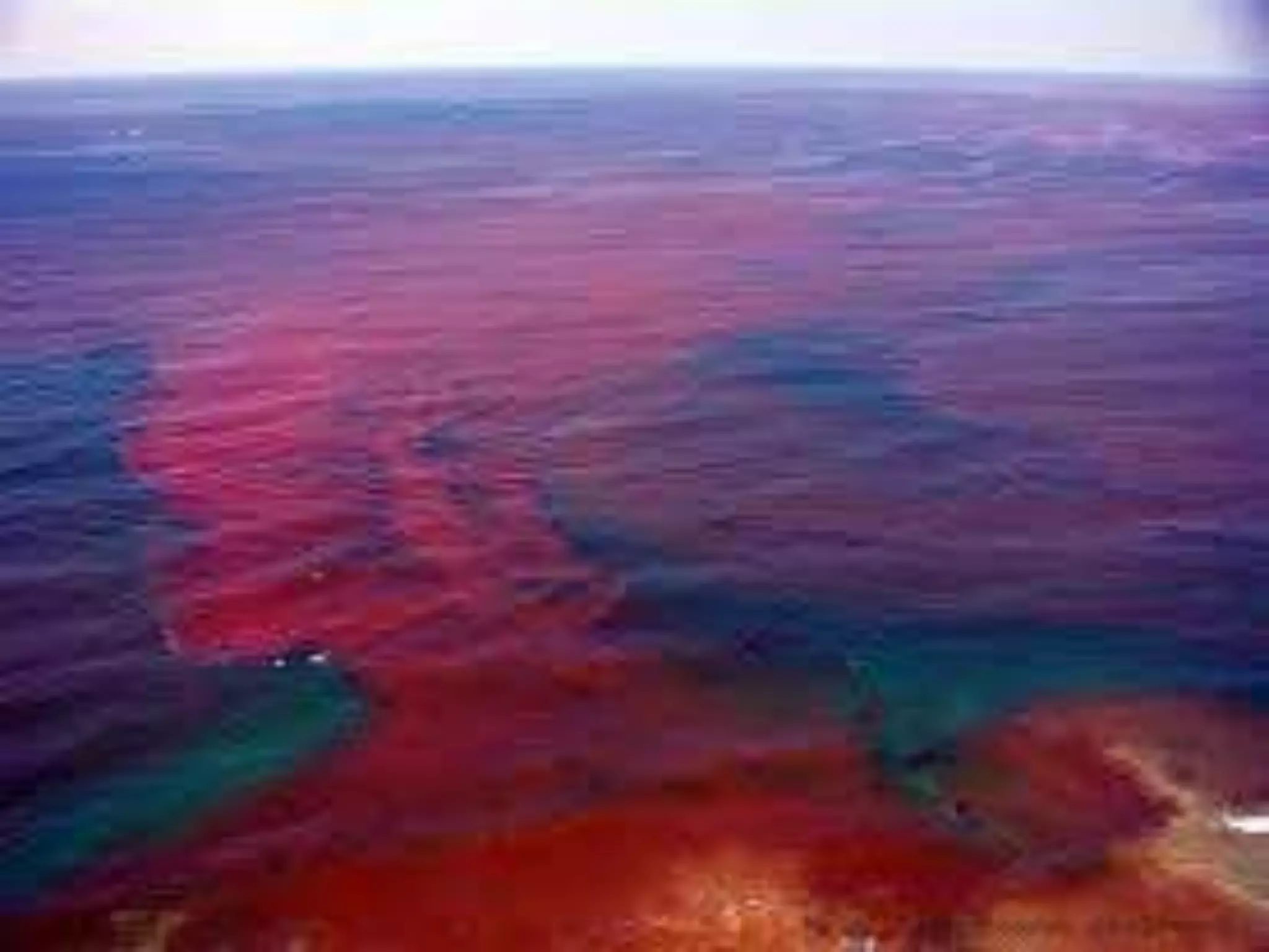 Red Tide Phenomenon