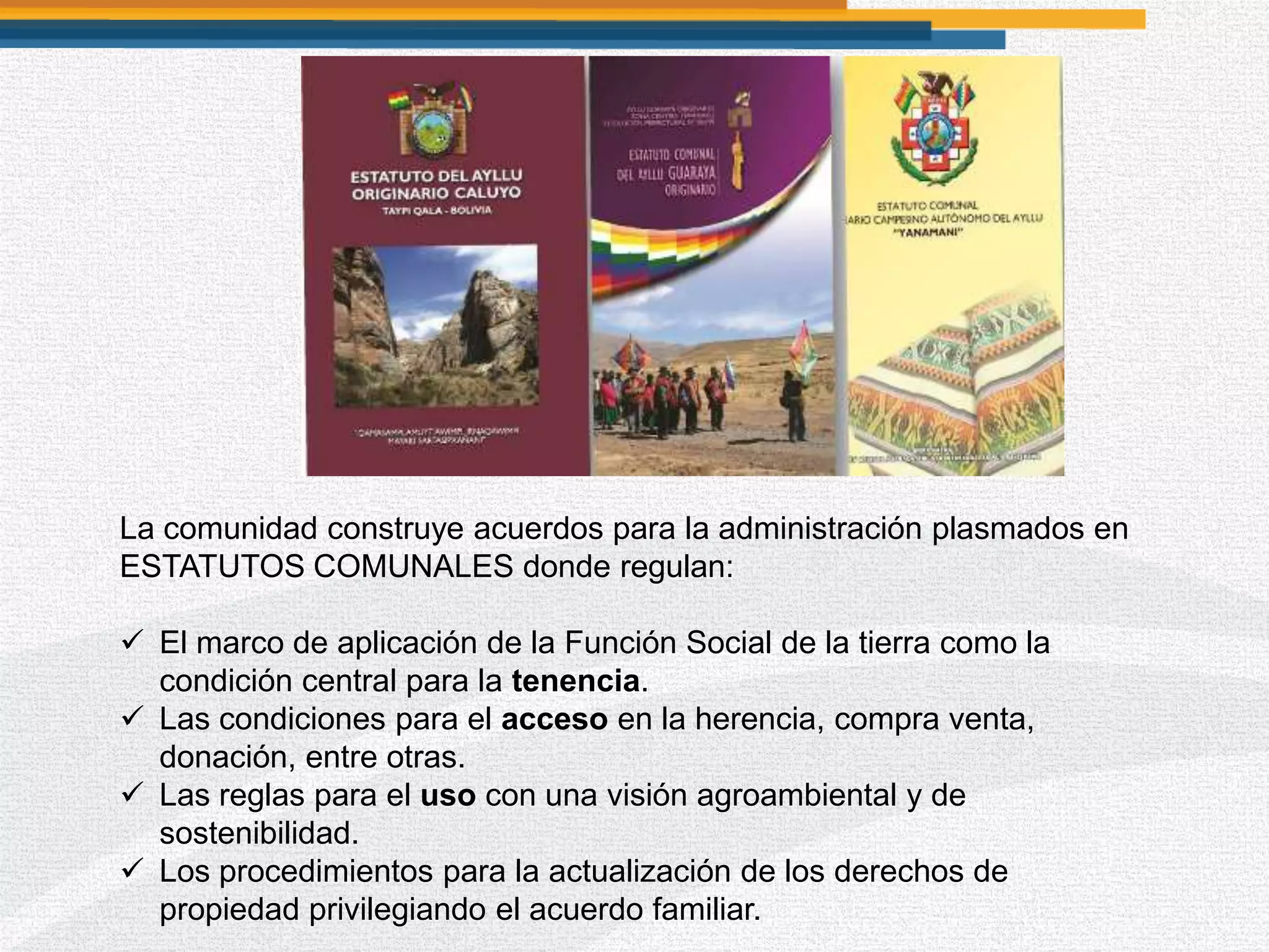 La comunidad construye acuerdos para la administración plasmados en
ESTATUTOS COMUNALES donde regulan:
 El marco de aplicación de la Función Social de la tierra como la
condición central para la tenencia.
 Las condiciones para el acceso en la herencia, compra venta,
donación, entre otras.
 Las reglas para el uso con una visión agroambiental y de
sostenibilidad.
 Los procedimientos para la actualización de los derechos de
propiedad privilegiando el acuerdo familiar.
 