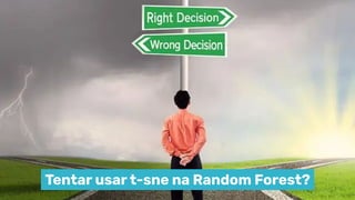 Tentar usar t-sne na Random Forest?
 