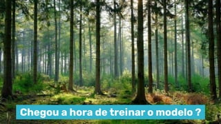 Chegou a hora de treinar o modelo ?
 