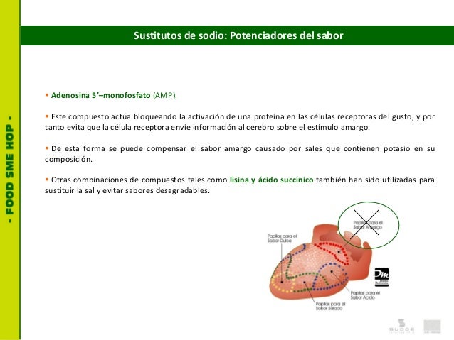 Reducción Sal en Alimentos Reducción Sal en Alimentos