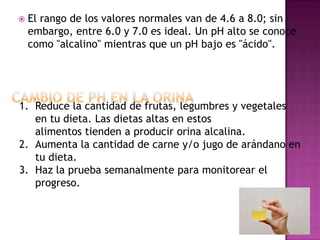 

El rango de los valores normales van de 4.6 a 8.0; sin
embargo, entre 6.0 y 7.0 es ideal. Un pH alto se conoce
como "alcalino" mientras que un pH bajo es "ácido".

1. Reduce la cantidad de frutas, legumbres y vegetales
en tu dieta. Las dietas altas en estos
alimentos tienden a producir orina alcalina.
2. Aumenta la cantidad de carne y/o jugo de arándano en
tu dieta.
3. Haz la prueba semanalmente para monitorear el
progreso.

 