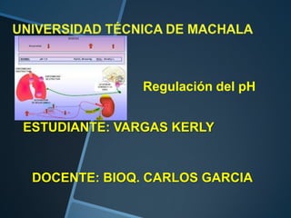 Regulación del pH
ESTUDIANTE: VARGAS KERLY

DOCENTE: BIOQ. CARLOS GARCIA

 
