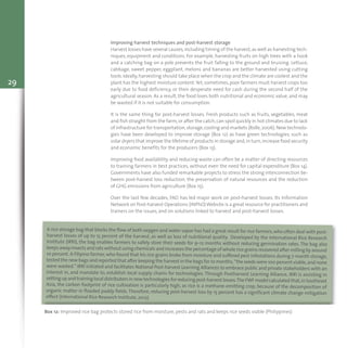 29
Improving harvest techniques and post-harvest storage
Harvest losses have several causes,including timing of the harvest,as well as harvesting tech-
niques, equipment and conditions. For example, harvesting fruits on high trees with a hook
and a catching bag on a pole prevents the fruit falling to the ground and bruising. Lettuce,
cabbage, sweet pepper, eggplant, melons and bananas are better harvested using cutting
tools.Ideally,harvesting should take place when the crop and the climate are coolest and the
plant has the highest moisture content.Yet,sometimes,poor farmers must harvest crops too
early due to food deficiency, or their desperate need for cash during the second half of the
agricultural season. As a result, the food loses both nutritional and economic value, and may
be wasted if it is not suitable for consumption.
It is the same thing for post-harvest losses. Fresh products such as fruits, vegetables, meat
and fish straight from the farm,or after the catch,can spoil quickly in hot climates due to lack
of infrastructure for transportation,storage,cooling and markets (Rolle,2006).New technolo-
gies have been developed to improve storage (Box 12) as have green technologies, such as
solar dryers that improve the lifetime of products in storage and,in turn,increase food security
and economic benefits for the producers (Box 13).
Improving food availability and reducing waste can often be a matter of directing resources
to training farmers in best practices, without even the need for capital expenditure (Box 14).
Governments have also funded remarkable projects to stress the strong interconnection be-
tween post-harvest loss reduction, the preservation of natural resources and the reduction
of GHG emissions from agriculture (Box 15).
Over the last few decades, FAO has led major work on post-harvest losses. Its Information
Network on Post-harvest Operations (INPhO)Website is a great resource for practitioners and
trainers on the issues, and on solutions linked to harvest and post-harvest losses.
Box 12: Improved rice bag protects stored rice from moisture, pests and rats and keeps rice seeds viable (Philippines)
A rice storage bag that blocks the flow of both oxygen and water vapor has had a great result for rice farmers,who often deal with post-
harvest losses of up to 15 percent of the harvest, as well as loss of nutritional quality. Developed by the International Rice Research
Institute (IRRI), the bag enables farmers to safely store their seeds for 9–12 months without reducing germination rates. The bag also
keeps away insects and rats without using chemicals and increases the percentage of whole rice grains recovered after milling by around
10 percent.A Filipino farmer,who found that his rice grains broke from moisture and suffered pest infestations during 7-month storage,
tested the new bags and reported that after keeping the harvest in the bags for 10 months,“the seeds were 100 percent viable,and none
were wasted." IRRI initiated and facilitates National Post-harvest Learning Alliances to embrace public and private stakeholders with an
interest in, and mandate to, establish local supply chains for technologies. Through Postharvest Learning Alliance, IRRI is assisting in
settingupand traininglocaldistributorsinnew technologiesforreducingpost-harvest losses.TheFWFmodelcalculated that,inSoutheast
Asia, the carbon footprint of rice cultivation is particularly high, as rice is a methane-emitting crop, because of the decomposition of
organic matter in flooded paddy fields.Therefore, reducing post-harvest loss by 15 percent has a significant climate change mitigation
effect (International Rice Research Institute,2012).
toolkit.xps:Layout 1 13/06/13 11.45 Pagina 29
 