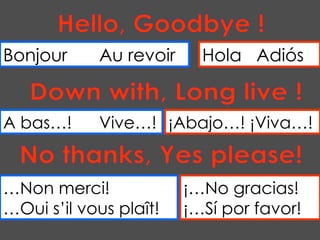 Bonjour Au revoir Hola  Adiós Down with, Long live ! A bas…! Vive…! ¡Abajo…! ¡Viva…! No thanks, Yes please! … Non merci! …Oui s’il vous plaît! ¡…No gracias! ¡…Sí por favor! Hello, Goodbye ! 