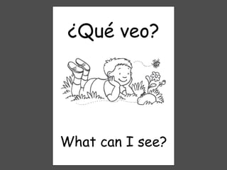 ¿Qué veo? What can I see? 