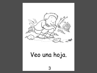 Veo una hoja. 3 