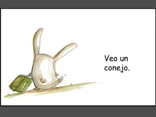 Veo un conejo. 