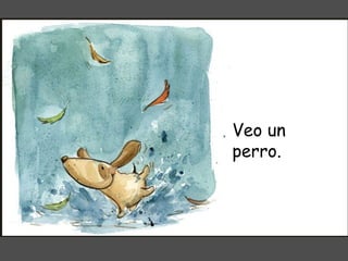 Veo un perro. 