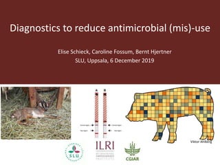 Diagnostics to reduce antimicrobial (mis)-use
Elise Schieck, Caroline Fossum, Bernt Hjertner
SLU, Uppsala, 6 December 2019
Viktor Ahlberg
 