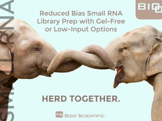 Reduced Bias Small RNA
Library Prep with Gel-Free
or Low-Input Options
HERD TOGETHER.
®
 