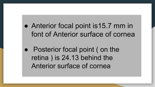 ● Posterior focal point ( on the
retina ) is 24.13 behind the
Anterior surface of cornea
● Anterior focal point is15.7 mm in
font of Anterior surface of cornea
 