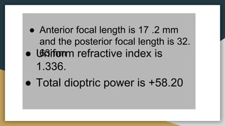● Anterior focal length is 17 .2 mm
and the posterior focal length is 32.
63mm● Uniform refractive index is
1.336.
● Total dioptric power is +58.20
 