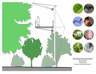 Sensory Enviornment
       Covered Path
        Critical Path
 Senses Limited by Distance
 
