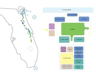 St. Johns River
    3

2                                       4. occulina reef
        4
                5. tropical reef                                     3. bivalve




                                             ecology


        1


                        1. fresh water                 2. brackish




                          outreach
                         cafe, store,                  tropical reef
                           exhibit,                     aquarium
                         auditorium                    occulina reef
                                                        aquarium
                                                         bivalve
                                                        aquarium
                              circulation paths

                                                       fresh water
                                                          biome

                            support, ticketing,
                            mechanical systems,         brackish
            5               storage, restrooms           biome
 