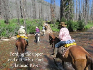Fording the upper
end of the So. Fork
Flathead River
 