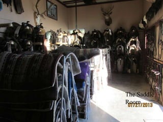 The Saddle
Room
 