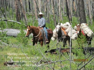 Meeting another
Pack string on our way to
Holbrook Camp on the
South Fork of the Flathead
 