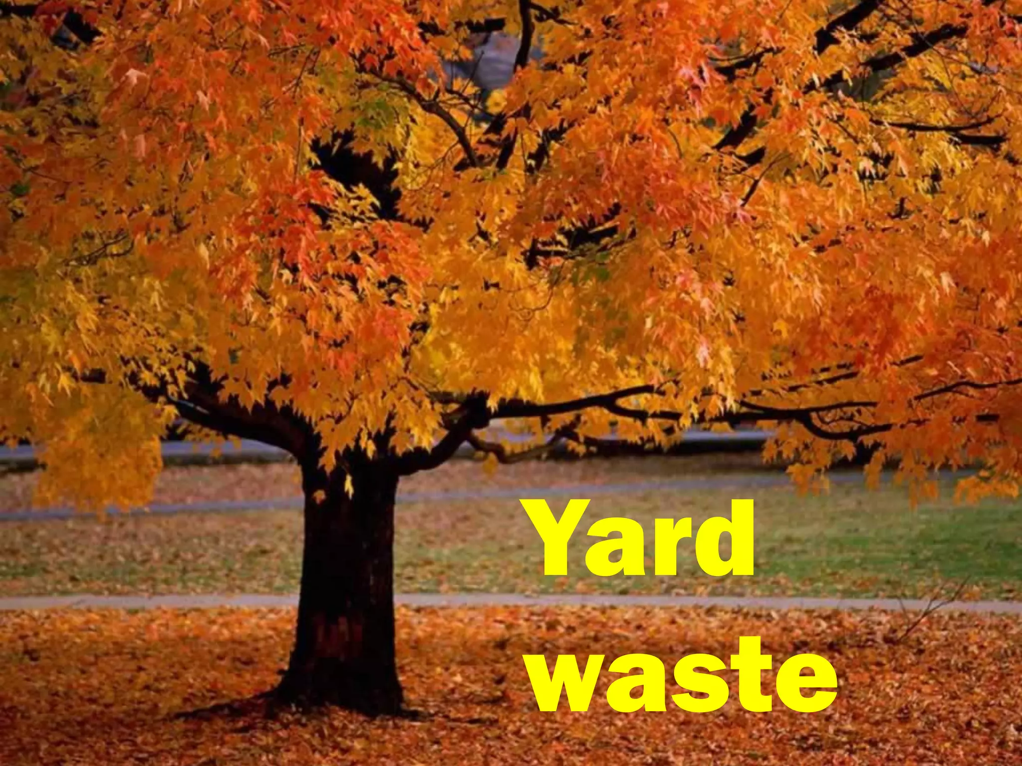 Yard
waste
 