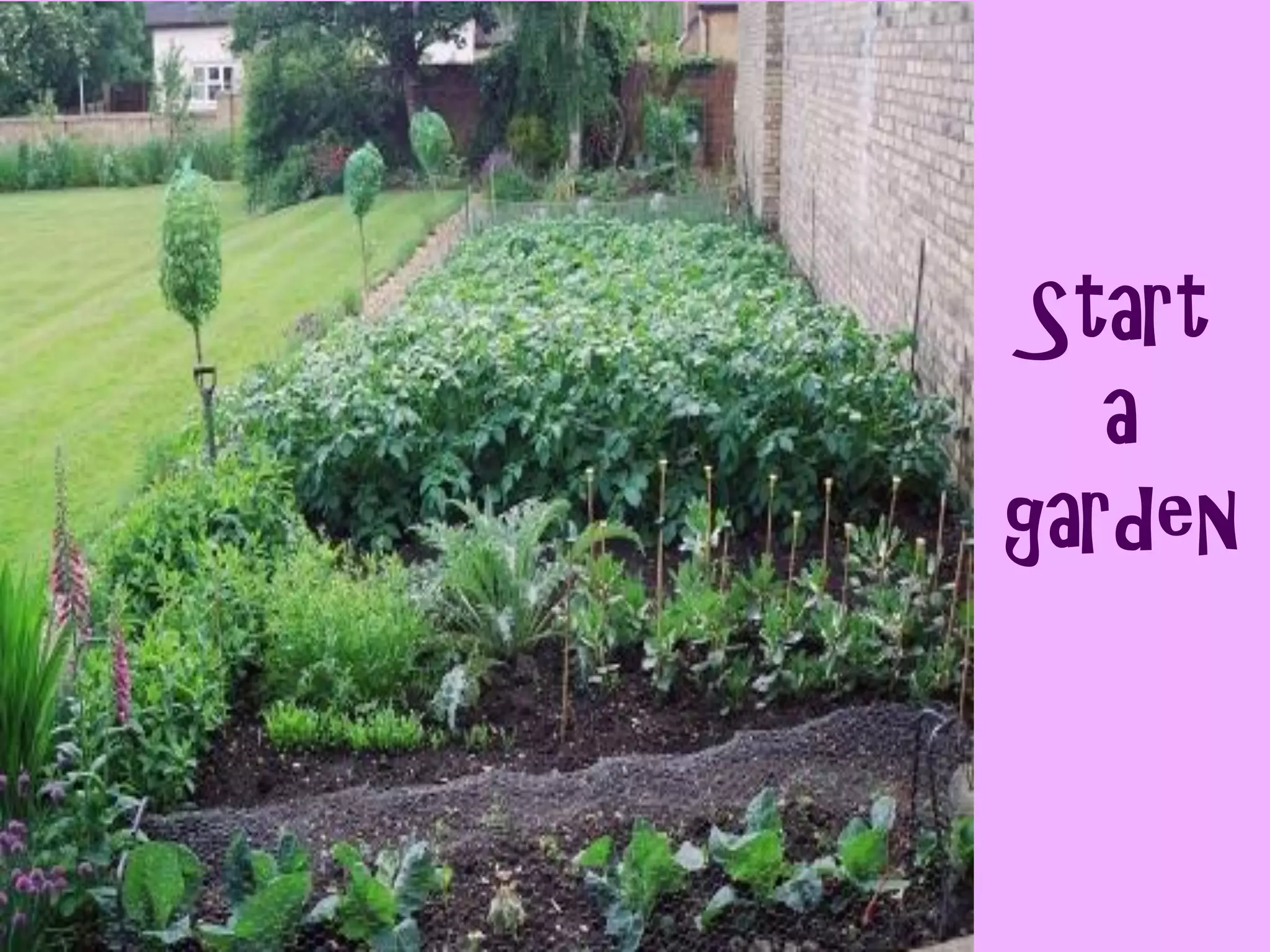 Start
   a
garden
 