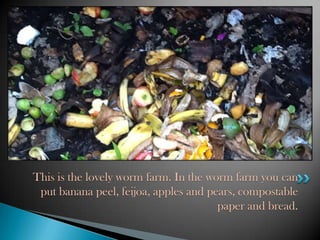 Reduce, Reuse, Recycle By Mia | PPTX