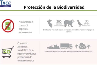 Protección de la Biodiversidad
 