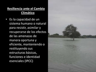 Resiliencia ante el Cambio
Climático
• Es la capacidad de un
sistema humano o natural
para resistir, asimilar y
recuperarse de los efectos
de las amenazas de
manera oportuna y
eficiente, manteniendo o
restituyendo sus
estructuras básicas,
funciones e identidad
esenciales (IPCC)
 