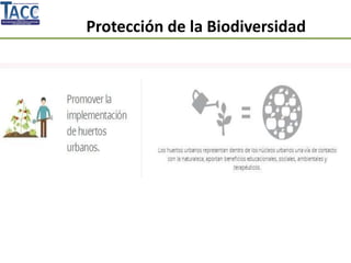 Protección de la Biodiversidad
 