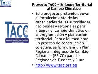 Proyecto TACC – Enfoque Territorial
al Cambio Climático
• Este proyecto pretende apoyar
el fortalecimiento de las
capacidades de las autoridades
nacionales y regionales para
integrar el cambio climático en
la programación y planeación
territorial. Para ello, mediante
un proceso de construcción
colectiva, se formulará un Plan
Regional Integrado de Cambio
Climático (PRICC) para las
Regiones de Tumbes y Piura.
• http://www.tacc.org.pe
 