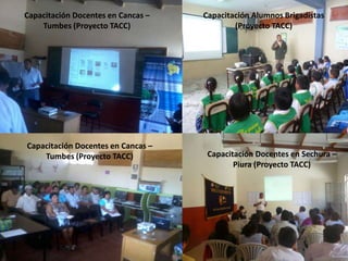 Capacitación Docentes en Cancas –
Tumbes (Proyecto TACC)
Capacitación Docentes en Cancas –
Tumbes (Proyecto TACC)
Capacitación Alumnos Brigadistas
(Proyecto TACC)
Capacitación Docentes en Sechura –
Piura (Proyecto TACC)
 