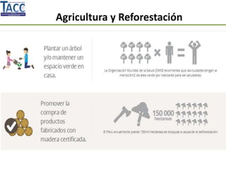 Agricultura y Reforestación
 