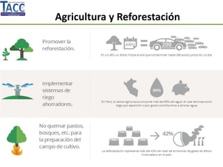 Agricultura y Reforestación
 
