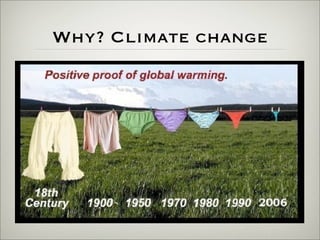 Reducing a data center's carbon footprint