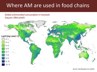 Reducing transmission in the food chain