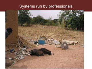 Reducing transmission in the food chain